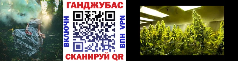 МАРИХУАНА сатива  Вельск 